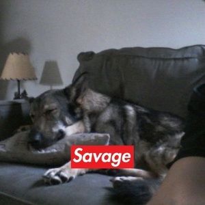 Meet your Posher, Kevin